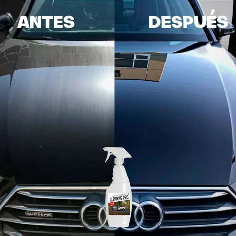 Cleaning Pro | Cera Porcelanizadora para Auto